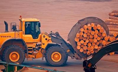 Почему цены на древесину в России бьют рекорды - topcor.ru - Россия - Китай - США