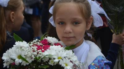 Владимир Путин - Воронежцам рассказали, как оформить выплаты на детей к началу учебного года - vestivrn.ru - Россия