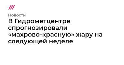 В Гидрометцентре спрогнозировали «махрово-красную» жару на следующей неделе - tvrain.ru - Москва - Россия - Красноярский край - окр. Уральский