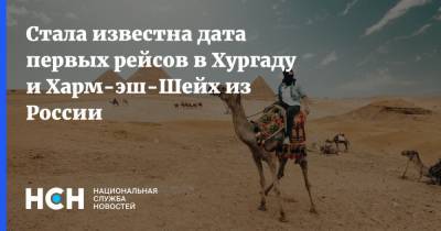Владимир Путин - Стала известна дата первых рейсов в Хургаду и Харм-эш-Шейх из России - nsn.fm - Россия - Египет