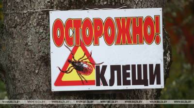 Возбудитель болезни Лайма выявлен у 49 клещей в Минске с начала года - belta.by - Белоруссия - Минск