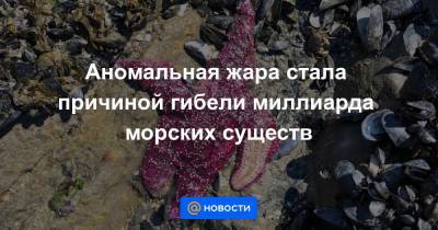 Аномальная жара стала причиной гибели миллиарда морских существ - news.mail.ru - США - New York - Колумбия - Канада