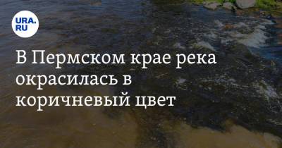 В Пермском крае река окрасилась в коричневый цвет. Фото - ura.news - Пермский край