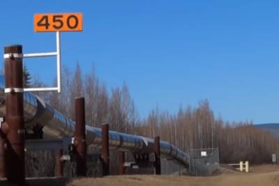 На Аляске из-за таяния вечной мерзлоты деформируется нефтепровод: экологи бьют тревогу - rupor.info - шт.Аляска - state Alaska - Экология