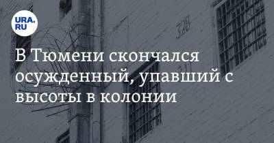 В Тюмени скончался осужденный, упавший с высоты в колонии - ura.news - Россия - Тюмень - Тюменская обл.