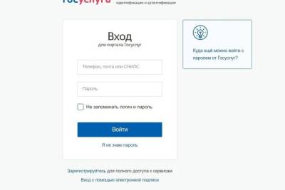 Псковичей просят проверить свои личные кабинеты на портале Госуслуг - mk-pskov.ru - Псков
