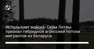 Используют войска. Сейм Литвы признал гибридной агрессией потоки мигрантов из Беларуси - liga.net - Россия - Украина - Белоруссия - Литва