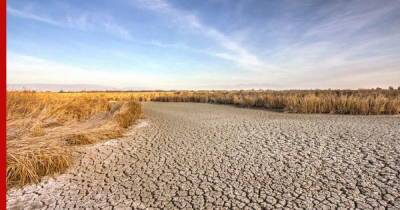 Сильная засуха охватила юг Казахстана - profile.ru - Казахстан - Шымкент