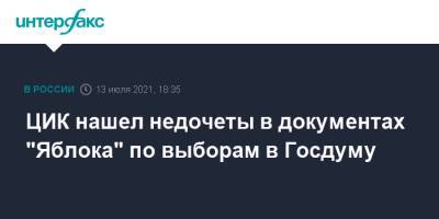 Антон Лопатин - ЦИК нашел недочеты в документах "Яблока" по выборам в Госдуму - interfax.ru - Москва - Россия