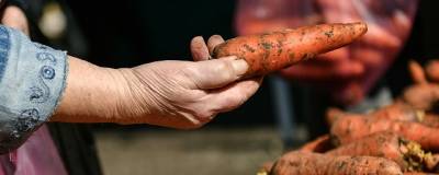 Жителям Самарской области рассказали, когда подешевеет морковь - runews24.ru - Россия - Самара - Самарская обл.