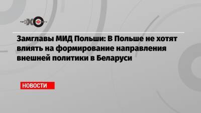 Марцин Пшидач - Замглавы МИД Польши: В Польше не хотят влиять на формирование направления внешней политики в Беларуси - echo.msk.ru - Москва - Россия - Белоруссия - Польша