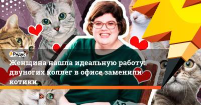 Женщина нашла идеальную работу: двуногих коллег в офисе заменили котики - ridus.ru - Англия