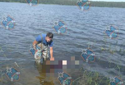 Фото с места событий: в Снетковском озере найден труп мужчины - online47.ru - Ленинградская обл. - Всеволожск - Приозерск - район Приозерский