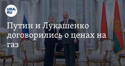 Владимир Путин - Дмитрий Песков - Александр Лукашенко - Путин и Лукашенко договорились о ценах на газ - ura.news - Россия - Белоруссия