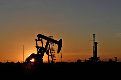 Высокие цены на нефть помогут спасти природу и станут катастрофой для бедных - lenta.ru - США