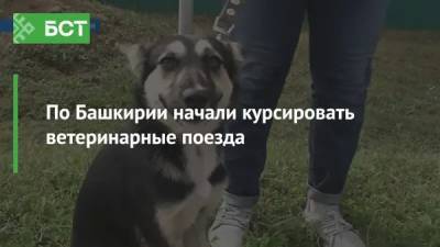 По Башкирии начали курсировать ветеринарные поезда - bash.news - Башкирия