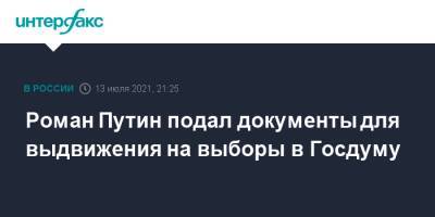 Роман Путин - Роман Путин подал документы для выдвижения на выборы в Госдуму - interfax.ru - Москва - Россия - Санкт-Петербург - Петербург