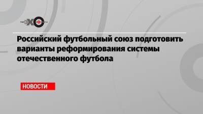 Российский футбольный союз подготовить варианты реформирования системы отечественного футбола - echo.msk.ru - Россия