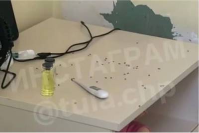 «Полчища муравьев» : Минздрав Тулы начал проверку после видео из детской инфекционной больницы – Учительская газета - ug.ru - Тула - Тульская обл.
