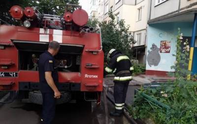 На Киевщине при пожаре в многоэтажке погибли два человека - korrespondent.net - Украина - Киев - Киевская обл.