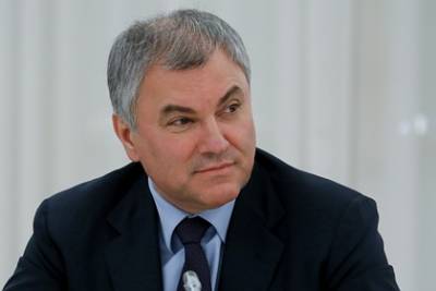 Вячеслав Володин - В Госдуме предложили судьям ЕСПЧ уйти в отставку - lenta.ru - Россия