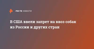 В США ввели запрет на ввоз собак из России и других стран - ren.tv - Россия - Китай - США - Украина - Казахстан - Молдавия - Грузия - Белоруссия