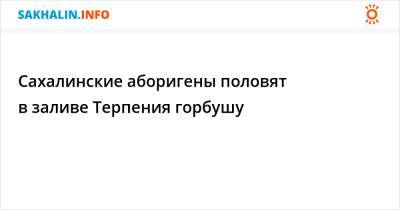 Сахалинские аборигены половят в заливе Терпения горбушу - sakhalin.info