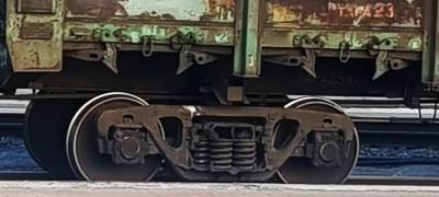 Стадо кабанов попало под грузовой поезд в Карелии - stolicaonego.ru - Петрозаводск - район Сортавальский - республика Карелия