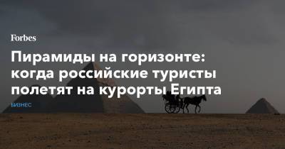 Халед Аль-Анани - Пирамиды на горизонте: когда российские туристы полетят на курорты Египта - forbes.ru - Россия - Египет
