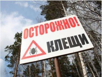 195 кунгуряков обратились в больницу с укусами клещей - iskra-kungur.ru - Пермь