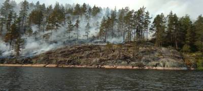 Жители поселка спасали лес от пожара на острове в Приладожье Карелии (ФОТО) - stolicaonego.ru - республика Карелия