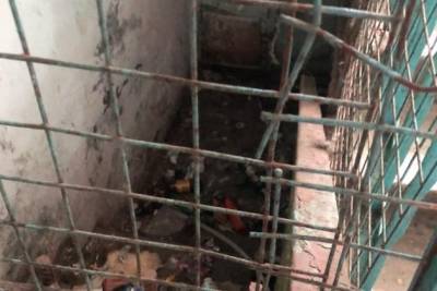 Управляющую компанию в Чите оштрафовали на 40 тысяч из-за грязного подъезда - chita.ru - Чита
