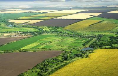 Мнение: Аграрии будут пытаться выкупать землю всеми возможными способами - agroportal.ua - Украина - Херсонская обл.