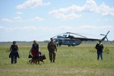 Обломки разбившегося самолета Ан-26 на Камчатке ищут три группы спасателей - МЧС - interfax-russia.ru - Россия - Камчатский край - Петропавловск-Камчатский