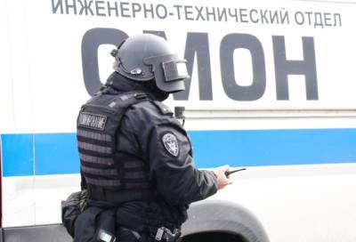 На обочине Мурманского шоссе обнаружили боеприпас времен войны - ivbg.ru - Украина - Ленинградская обл. - Санкт-Петербург - р-н Всеволожский