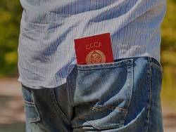 В Волгограде создателя движения "граждане СССР"* посадили на 6 лет за экстремизм - newsland.com - Россия - Волгоград - Волгоградская обл.