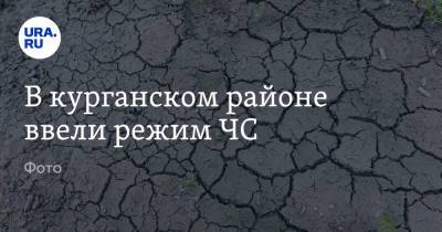 В курганском районе ввели режим ЧС. Фото - ura.news - Курганская обл.
