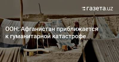 ООН: Афганистан приближается к гуманитарной катастрофе - gazeta.uz - Узбекистан - Афганистан