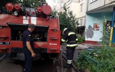 На Киевщине в результате пожара в пятиэтажке погибли люди - lenta.ua - Украина - Ирак