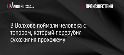 В Волхове поймали человека с топором, который перерубил сухожилия прохожему - ivbg.ru - Украина - Ленобласть - Нападение