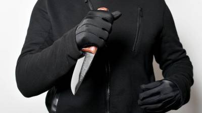 Полиция задержала подозреваемого в разбойном нападении в Ленинском городском округе - vm.ru - Москва - Россия - Башкирия - Московская обл. - Нападение