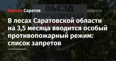 В лесах Саратовской области на 3,5 месяца вводится особый противопожарный режим: список запретов - nversia.ru - Саратовская обл.