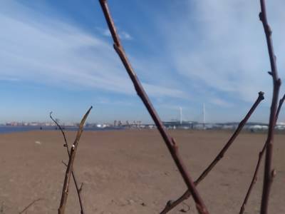 Петербуржцы собрали более 5 тыс. подписей против намыва на Васильевском острове - rosbalt.ru