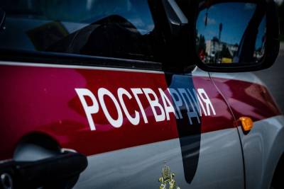 В Пензе 34-летний мужчина украл из магазина игровую приставку - mk.ru - Пензенская обл. - Пенза