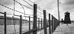Россиянина отправили в колонию на 6 лет за непризнание существования России - rusjev.net - Россия - Волгоград