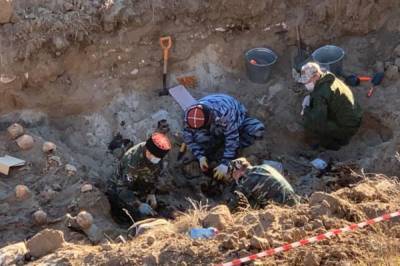 Под Псковом нашли массовые захоронения времен ВОВ - aif.ru - Псковская обл. - Псков - Новгородская обл. - район Невельский