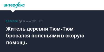 Житель деревни Тюм-Тюм бросался поленьями в скорую помощь - interfax.ru - Москва - Кировская обл.