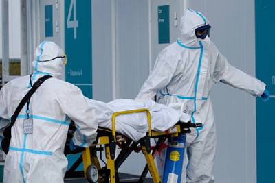 В России зафиксировали максимум смертей от COVID-19 за сутки - lenta.ru - Москва - Россия - Санкт-Петербург - Московская обл. - Магаданская обл.