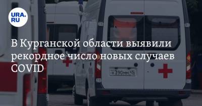 В Курганской области выявили рекордное число новых случаев COVID - ura.news - Курганская обл.