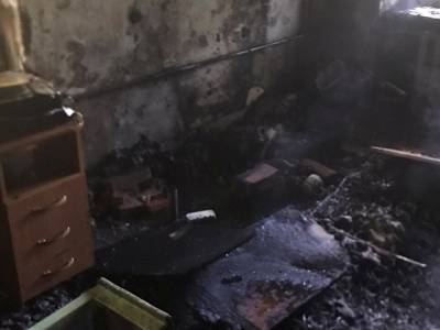 На Южном Урале пожарные спасли из горящей квартиры, потерявших сознание женщину и собаку - u24.ru - Россия - Челябинская обл. - Челябинск